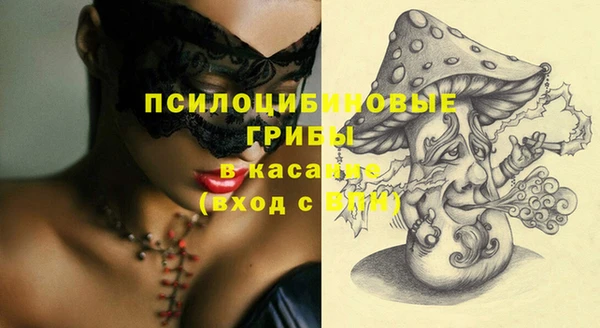 соль ск Вязьма