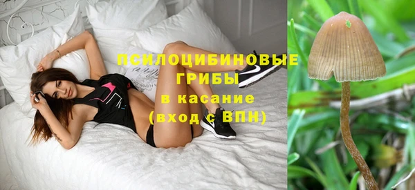 прущая мука Вязники