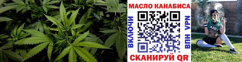 ТГК вейп с тгк  Купить где  Медногорск 